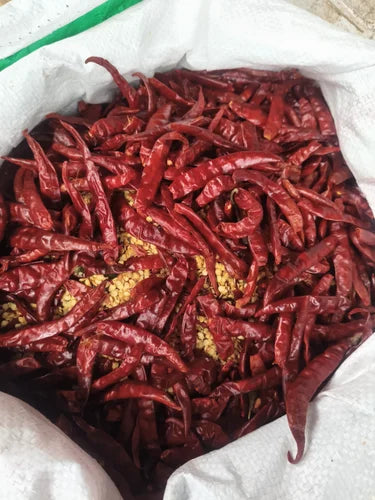 Dry red Chilli