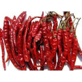 Dry red Chilli